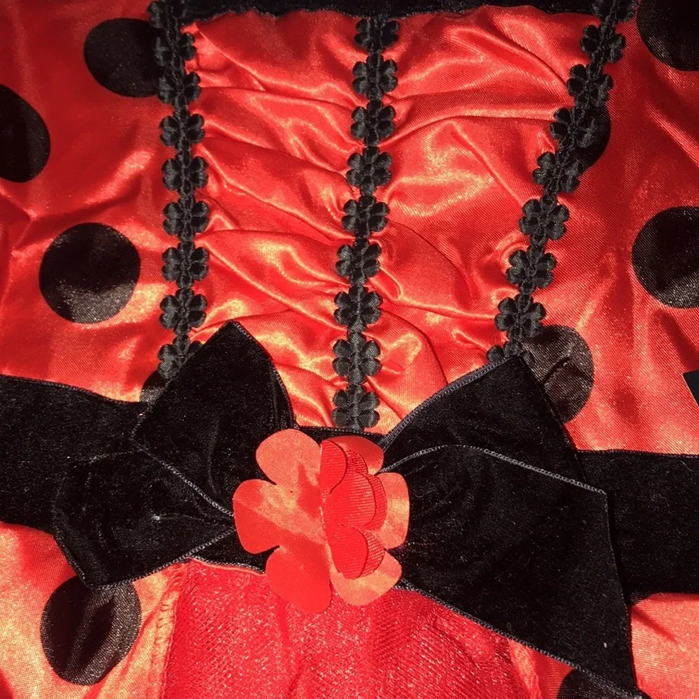 Adorable NWT Ladybug Costume